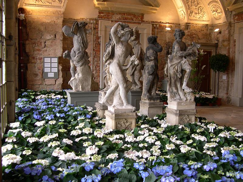 2008-03-07, Frühling im Palais (2).JPG